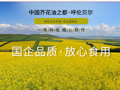 公司生产环境
